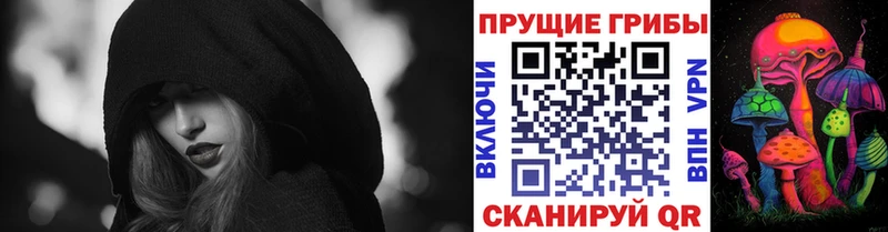 где найти наркотики  Новоалтайск  OMG ONION  Псилоцибиновые грибы Psilocybe 