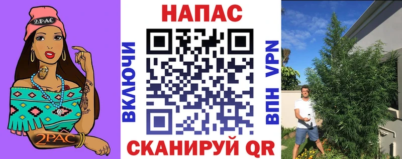 хочу   Новоалтайск  Марихуана семена 